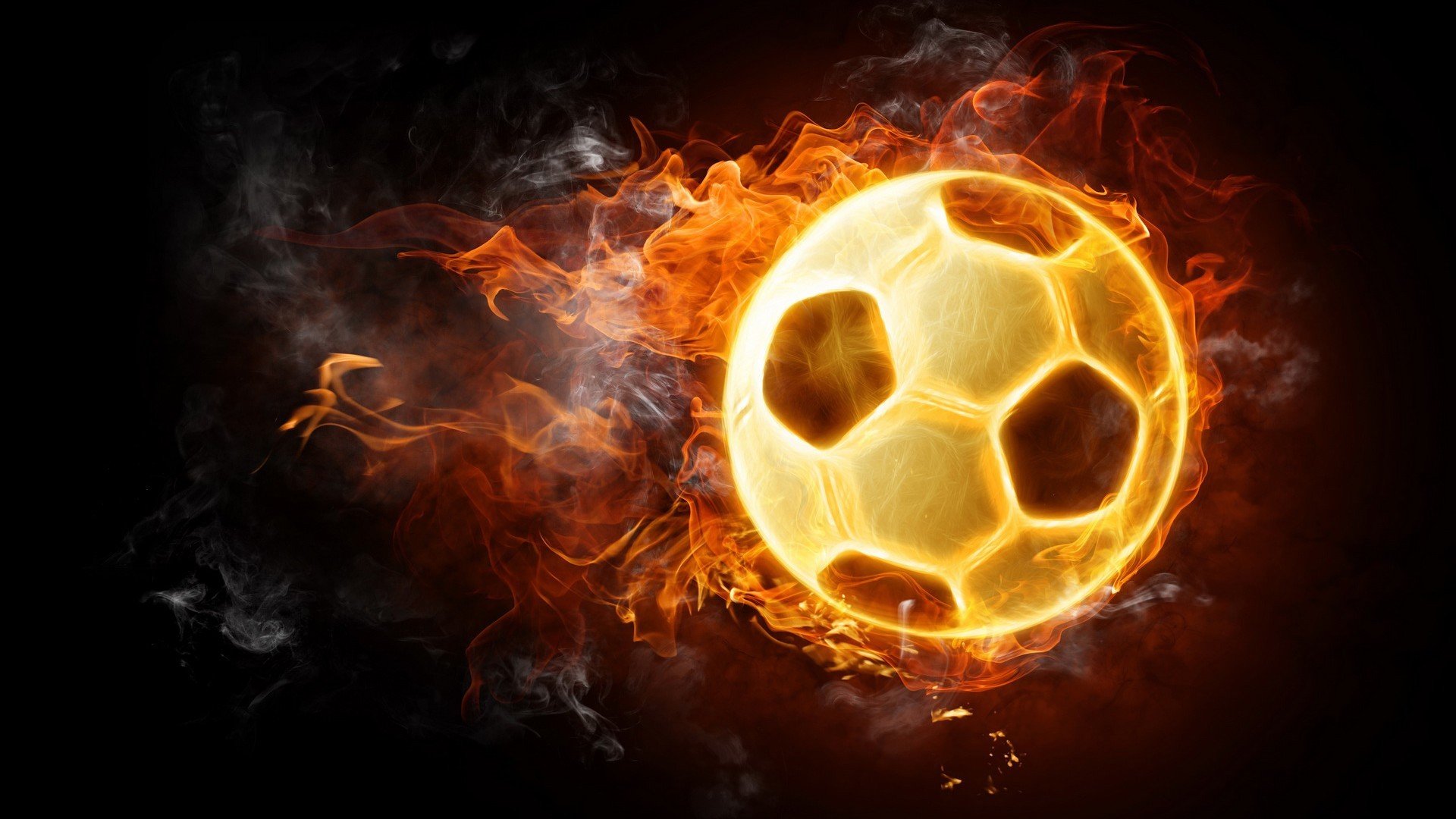 日本马术协会与国际马术联合会合作，举办国际马术交流活动，促进技术交流。